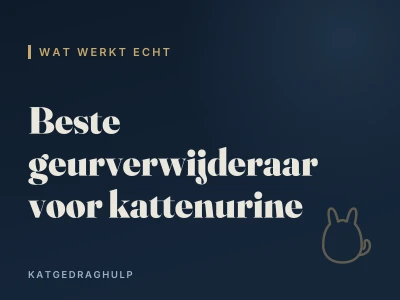 Beste geurverwijderaar voor kattenurine