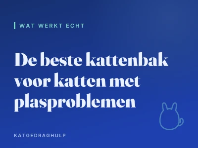 De beste kattenbak voor katten met plasproblemen
