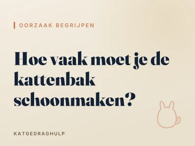 Hoe vaak moet je de kattenbak schoonmaken?