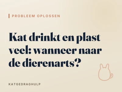Kat drinkt en plast veel: wanneer naar de dierenarts?