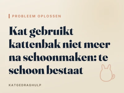 Kat gebruikt kattenbak niet meer na schoonmaken: te schoon bestaat
