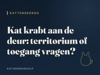 Kat krabt aan de deur: territorium of toegang vragen?