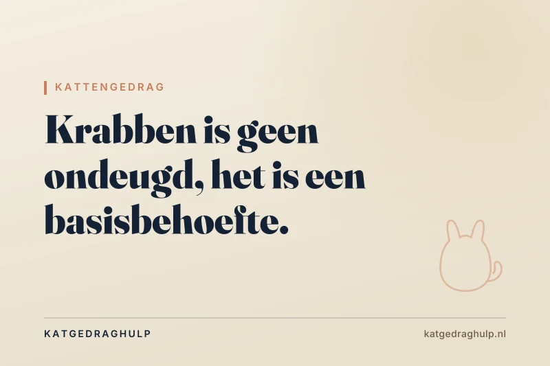 Tekstkaart van KatGedragHulp: Kat krabt meubels: stoppen zonder de bank te verliezen