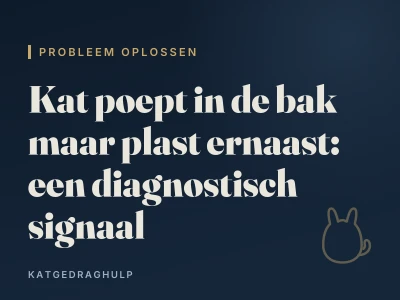 Kat poept in de bak maar plast ernaast: een diagnostisch signaal