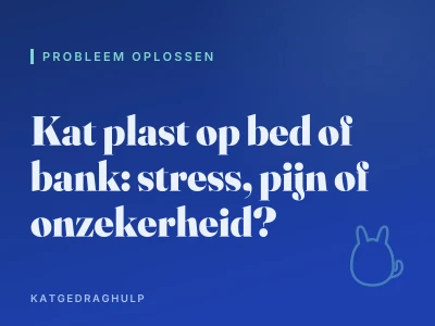Kat plast op bed of bank: stress, pijn of onzekerheid?