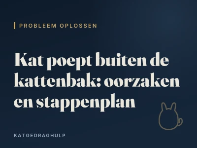 Kat poept buiten de kattenbak: oorzaken en stappenplan
