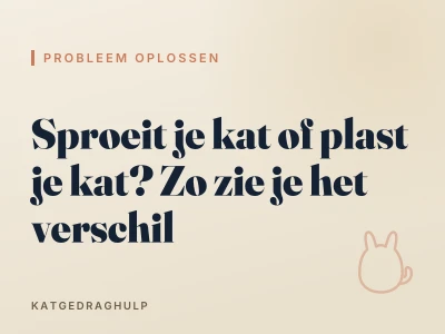 Sproeit je kat of plast je kat? Zo zie je het verschil