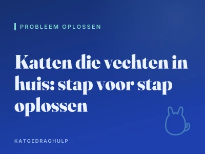 Katten die vechten in huis: stap voor stap oplossen