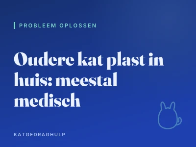 Oudere kat plast in huis: meestal medisch