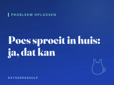Poes sproeit in huis: ja, dat kan